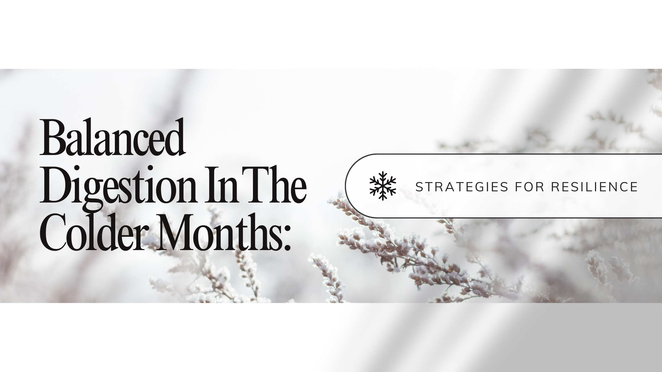 Winter wellness blog header with text Balanced Digestion in the Colder Months